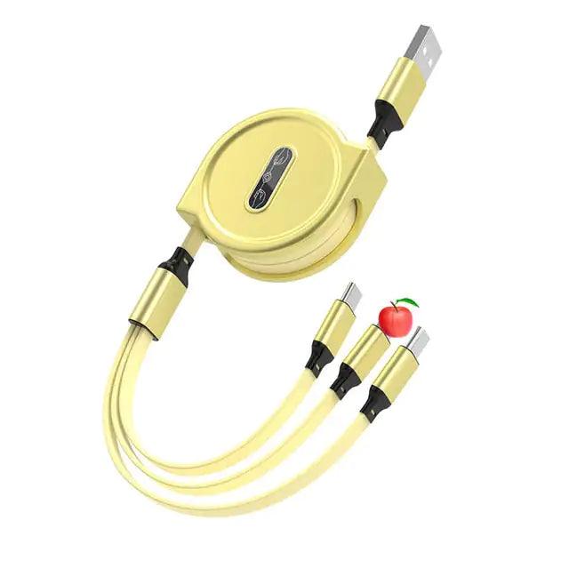 Retractable USB Cable - Shop Express