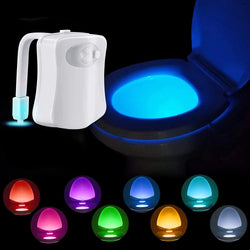 Toilet Night Light - Shop Express