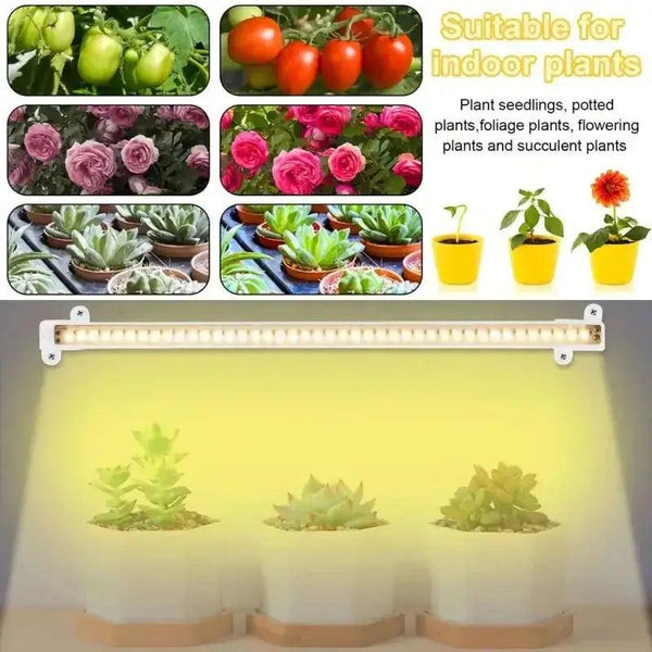 Led Grow Light For Plants - Shop Express