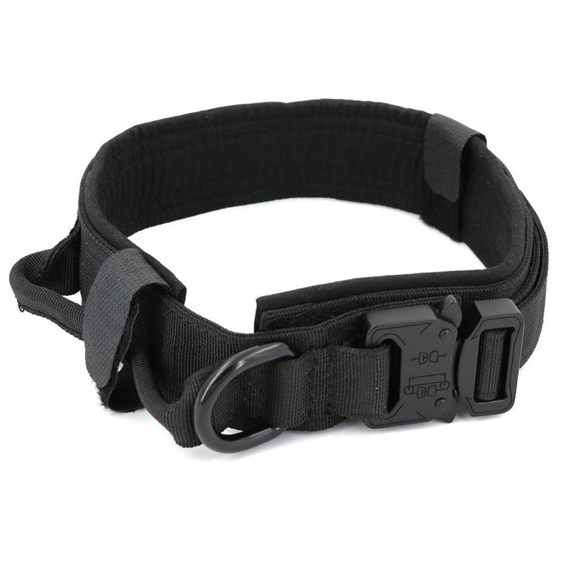 Dog Collar - Shop Express