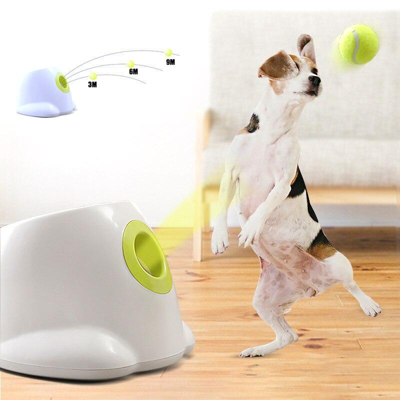 Dog pet Tennis Launcher - Shop Express