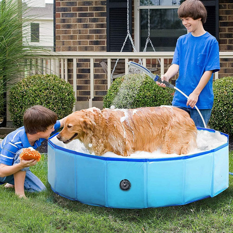 Dog Shower Sprayer Attachment - Shop Express