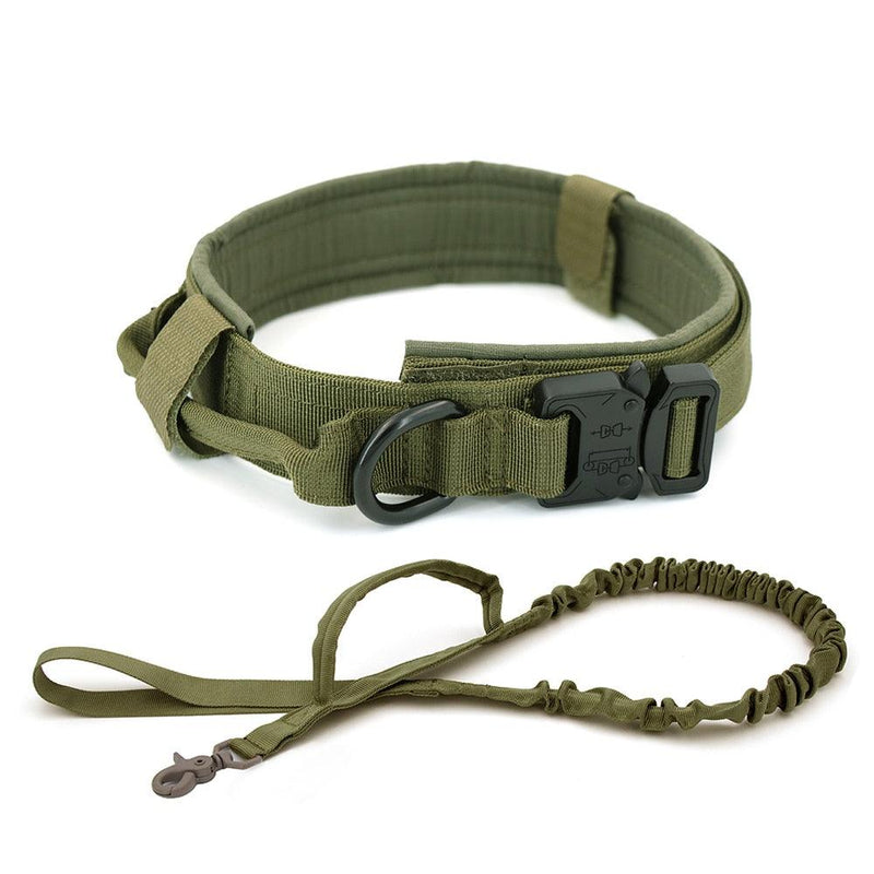 Dog Collar - Shop Express