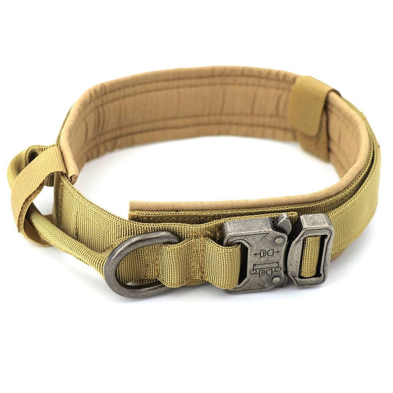 Dog Collar - Shop Express