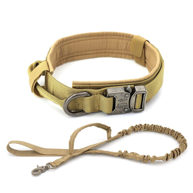 Dog Collar - Shop Express