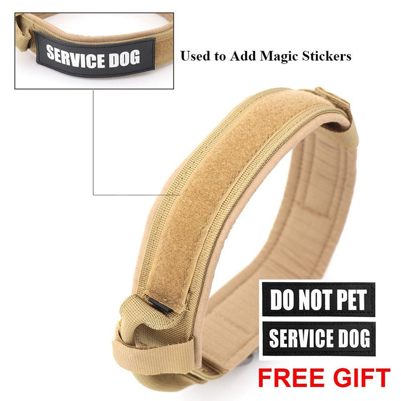 Dog Collar - Shop Express